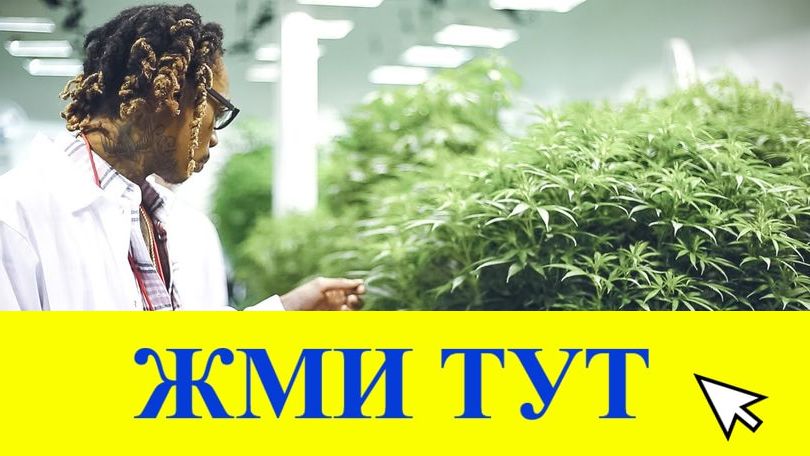 Купить наркотики в Медногорске